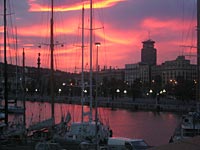 barcelona marathon with running crazy limited