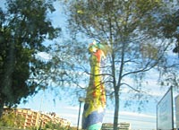 barcelona marathon with running crazy limited