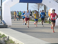 Laranca Cyprus Marathon, Half, 10K & 5K