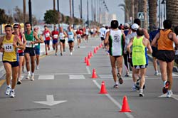 torrevieja half marathon and 10K with running crazy